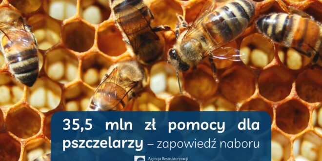 Obrazek wyróżniający - 355 mln zł pomocy dla pszczelarzy zapowiedź naboru